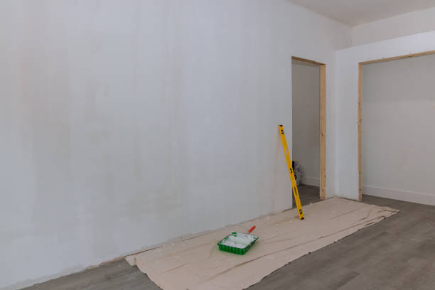 Best Ceiling Drywall Installation  in Hayward, WI